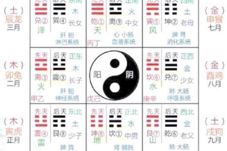 沙中土命人的家居辟邪法宝与风水指南