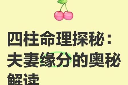 揭秘：什么木命才是最好的命，探寻命理中的幸福之道