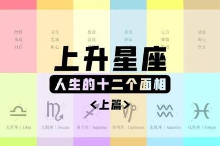 面相与生肖：揭秘弱势生肖的命运之迷