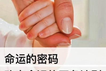 1992年出生的你：揭示你的命运密码与人生方向