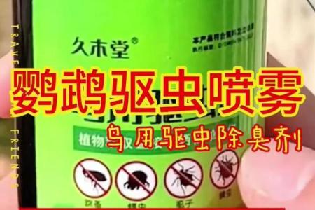 如何快速有效消灭小鸟的药物推荐与使用指南