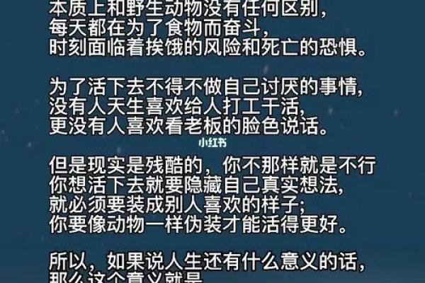命的意义：探讨生命的价值与存在的深层次意义