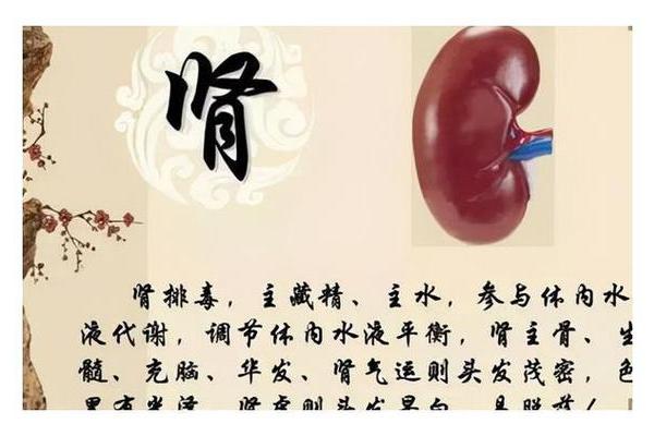 深度解析:女命坐养地的深刻意义与影响 深度解析:女命坐养地的深刻意义与影响