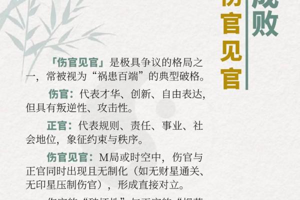 女命伤官：命理中的神秘角色与社会影响