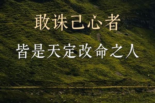 深度解析：金命人在旺木之年如何助力人生发展