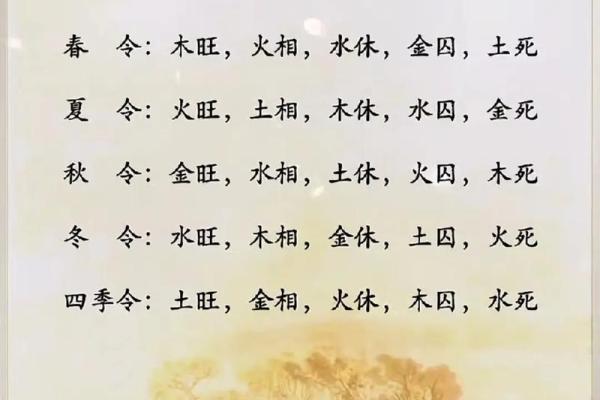 剖析“生子旺相之命”的深刻内涵与人生启示 剖析“生子旺相之命”的深刻内涵与人生启示