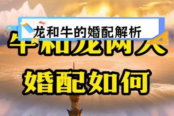 1997年属牛的人命运解析:成就与挑战并存的精彩人生 1997年属牛的人命运解析:成就与挑战并存的精彩人生