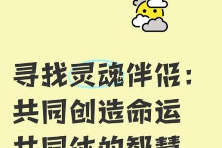 揭秘元男元女：灵魂伴侣的真正意义与命运走势