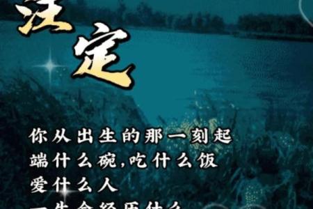 揭开振命人与适配命格的神秘面纱，找寻你的命中注定！