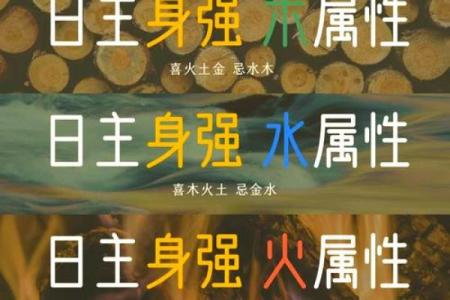 2017年五行属火命，探秘其性格与运势的奥秘