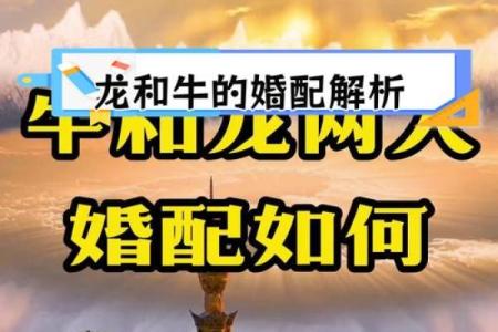 1997年属牛的人命运解析：成就与挑战并存的精彩人生