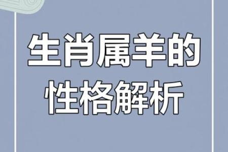 七九年十二月出生的羊，情感和事业的双重丰收之路