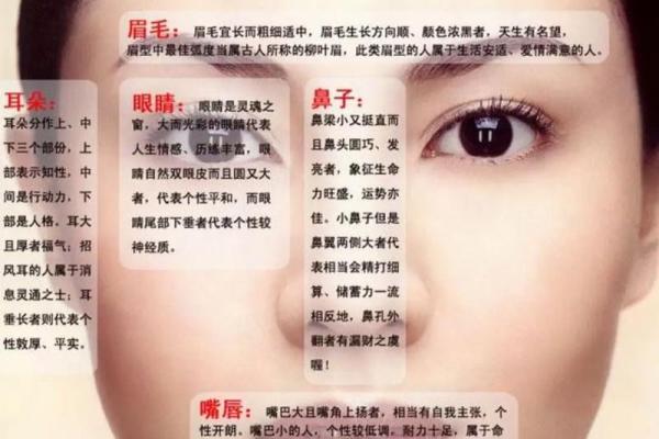 木命与水命：为什么木命瘦水命胖的深层解析