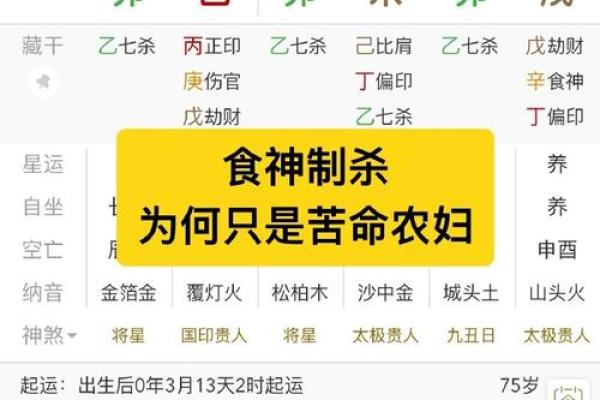 女命八字中的食神:是什么?如何影响命运? 女命八字中的食神:是什么?如何影响命运?