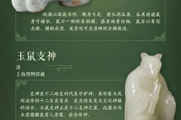 生肖文化的魅力:揭晓你不知道的生肖秘密与故事 生肖文化的魅力:揭晓你不知道的生肖秘密与故事