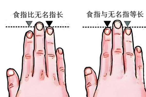 食指与无名指长相似,命运暗示着什么? 食指与无名指长相似,命运暗示着什么?