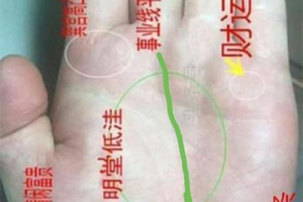 老板命格：从手相看你的商业潜力与领导魅力
