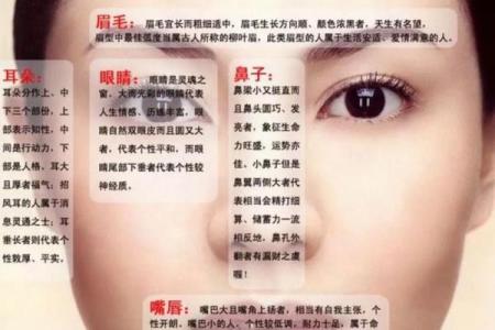 木命与水命：为什么木命瘦水命胖的深层解析