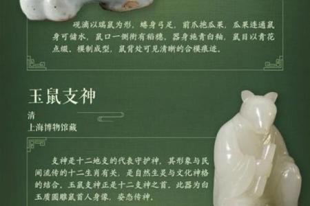 生肖文化的魅力：揭晓你不知道的生肖秘密与故事