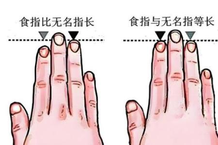食指与无名指长相似，命运暗示着什么？