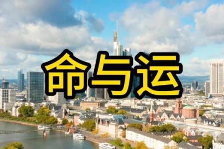 命运的厚薄：揭秘“命越看越薄”的真相与思考