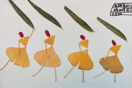 揭开生肖之谜：木命与土命的秘密探寻