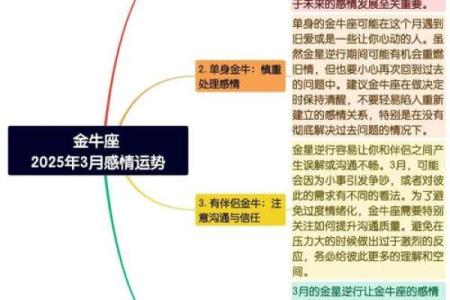 男生金牛命：稳重与坚持的星座之路