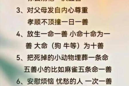 少年不宜中年大吉：探寻命运的奥秘与人生的智慧