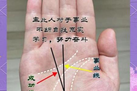 老板命格：从手相看你的商业潜力与领导魅力