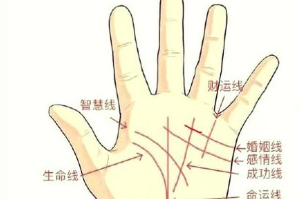 揭示手相线的秘密：你命运的指引与解读