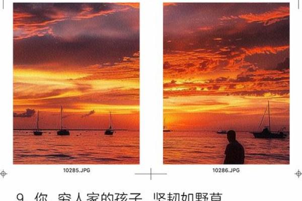 穷人一生的命运：困境中的坚韧与追寻