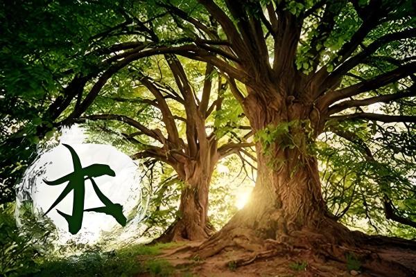 沙石金命与哪些命最为相配?解密命理的奥秘与和谐之道! 沙石金命与哪些命最为相配?解密命理的奥秘与和谐之道!