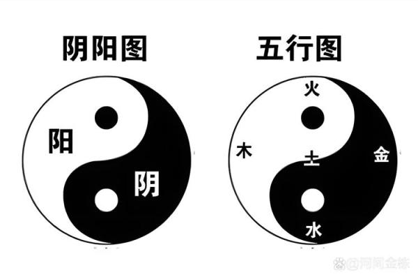 金命者最旺之法：如何通过五行之道增进自我财运与健康