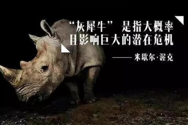 女命46岁:如何化解命运中的灾难与危机? 女命46岁:如何化解命运中的灾难与危机?