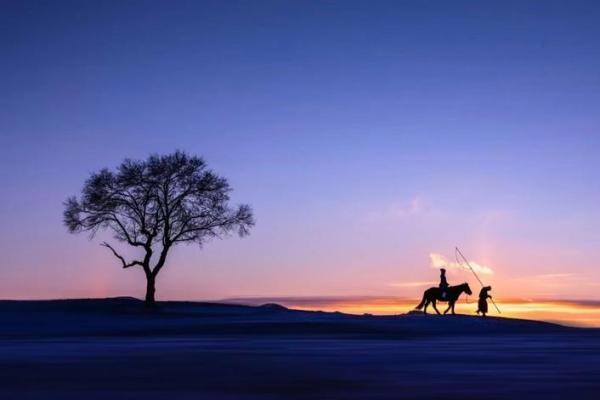 属狗凌晨12点多的命运解析:好运与挑战并存的生命旅程 属狗凌晨12点多的命运解析:好运与挑战并存的生命旅程