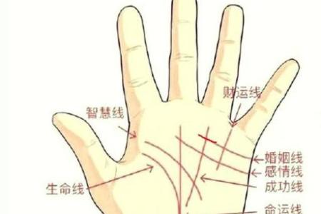 揭示手相线的秘密：你命运的指引与解读