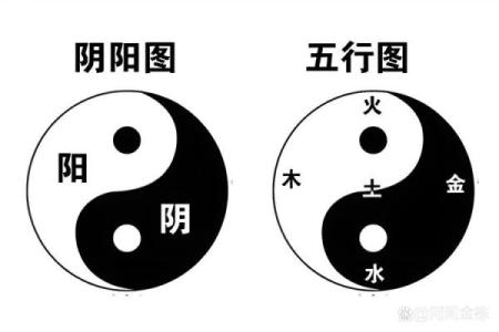 金命者最旺之法：如何通过五行之道增进自我财运与健康