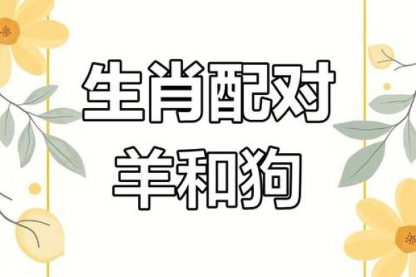属狗相害的生肖解析:如何规避生肖间的冲突与和谐相处 属狗相害的生肖解析:如何规避生肖间的冲突与和谐相处