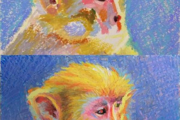 属猴1992年出生的朋友们,您所拥有的命运与性格探索! 属猴1992年出生的朋友们,您所拥有的命运与性格探索!