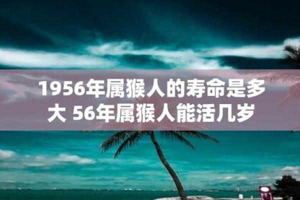 属猴1992年出生的朋友们,您所拥有的命运与性格探索! 属猴1992年出生的朋友们,您所拥有的命运与性格探索!
