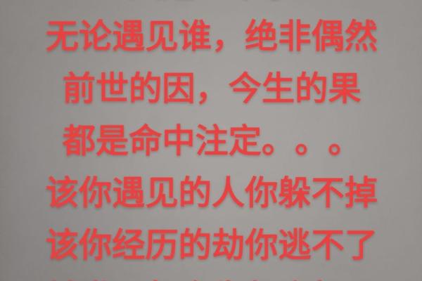 前世情缘:一条命的承诺与救赎 前世情缘:一条命的承诺与救赎