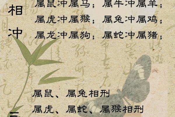 命里的缺失：十二生肖与运势的关系解读