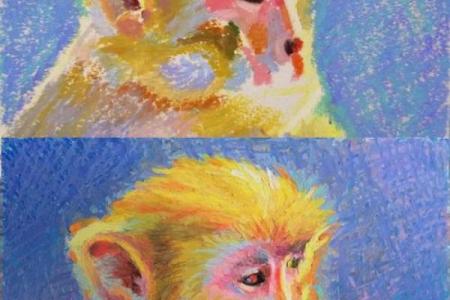 属猴1992年出生的朋友们，您所拥有的命运与性格探索！