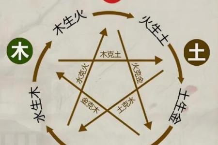 属龙的命运：火命与水命的精彩对比与人生启示