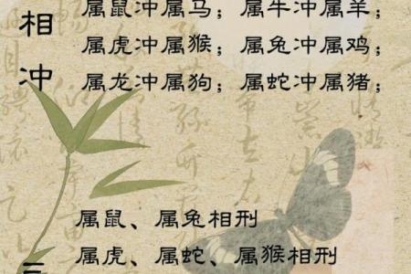 命里的缺失：十二生肖与运势的关系解读