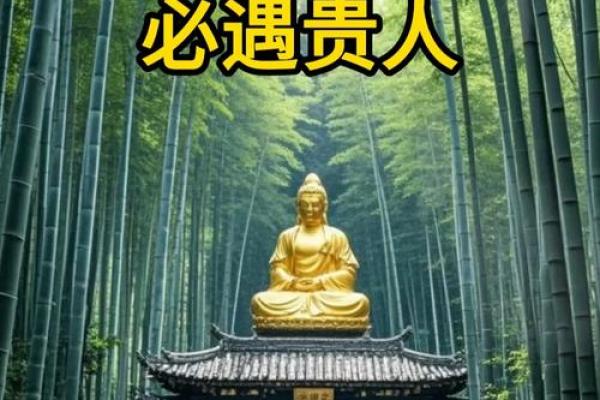 逆天改命：2023年带来好运的生肖解析