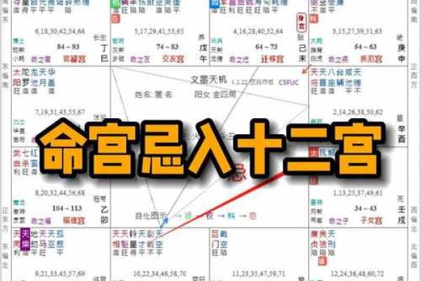 命宫解析：从命宫看男命与女命的不同之处