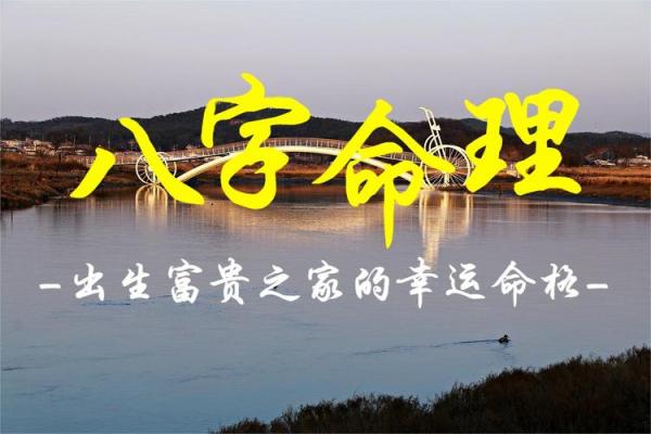 属虎女性的五行命格解析：揭示其性格魅力与人生路径