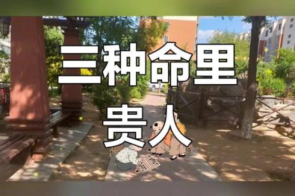 男命二位贵人:命理中的保护神与助力者 男命二位贵人:命理中的保护神与助力者