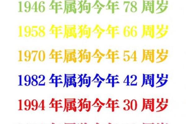属狗命理揭秘:狗年出生者的命运与性格分析 属狗命理揭秘:狗年出生者的命运与性格分析